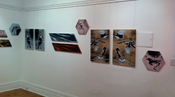 Between expanding spaces exhibition by artist sittoula sitlakone @ brunswick st gallery fitzroy vic 2014